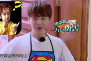 娱乐吃瓜酱梦话,揭秘娱乐圈背后的秘密与奇闻异事